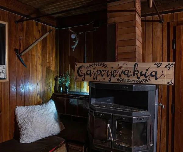 Gasparjeva Velika Planina Chalé Kamnik