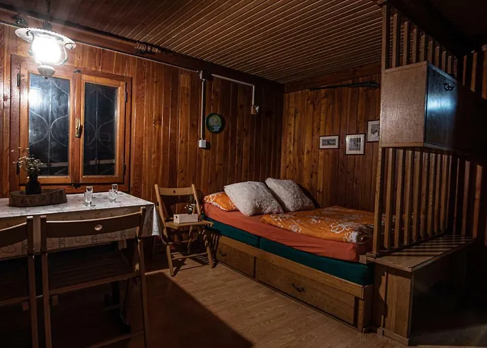 Gasparjeva Velika Planina Chalé