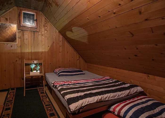 Gasparjeva Velika Planina Kamnik