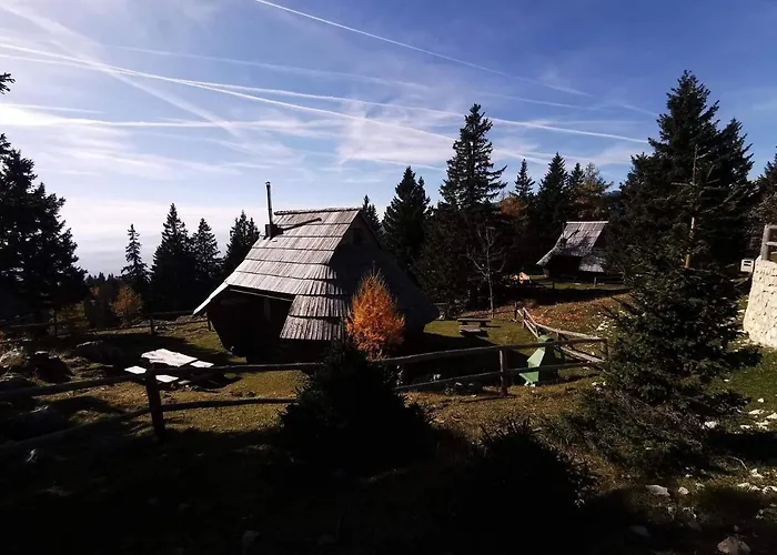 Gasparjeva Velika Planina Chalé Kamnik